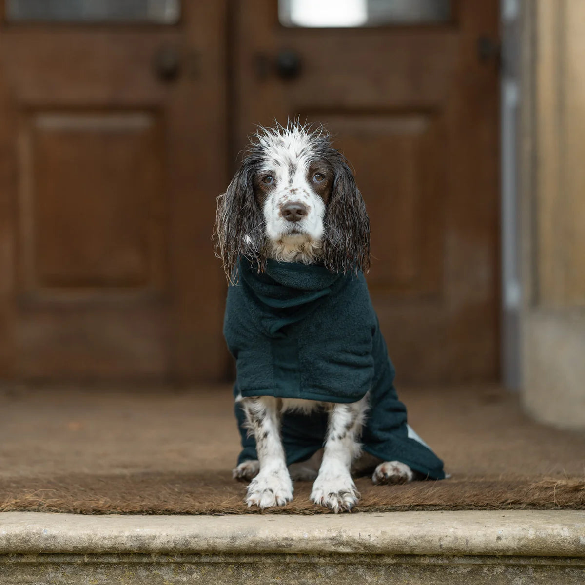 Dog drying coat Forest green